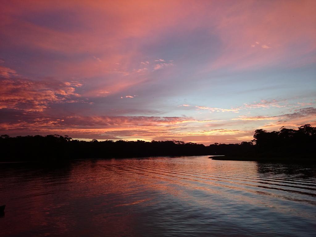 Tortuguero Adventures Guesthouse Kültér fotó