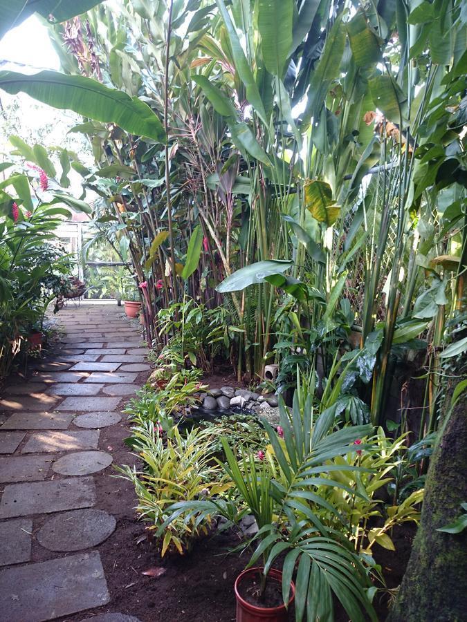 Tortuguero Adventures Guesthouse Kültér fotó